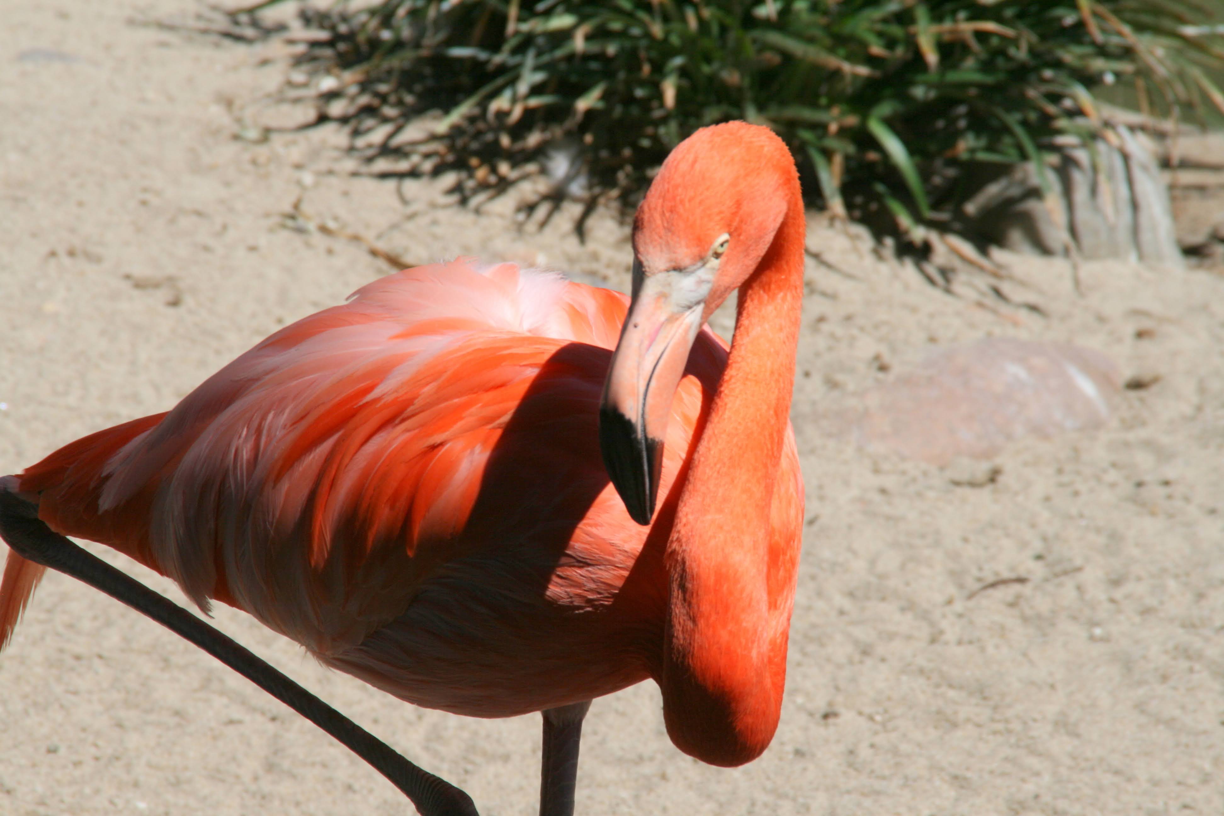 Byebye MinIO: RustFS and OpenBao